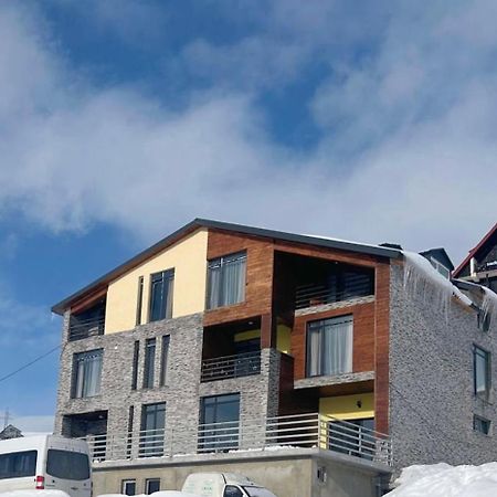 Dandelion Hotel Gudauri Ganisi Exterior photo